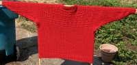 2021-08-03-Red-Gansey