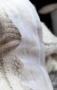 Heb170709-4
