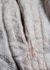 Heb170709-6