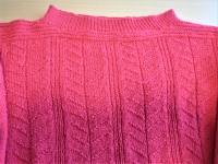 Irma-fern-panel-chart-2