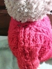 nigel2